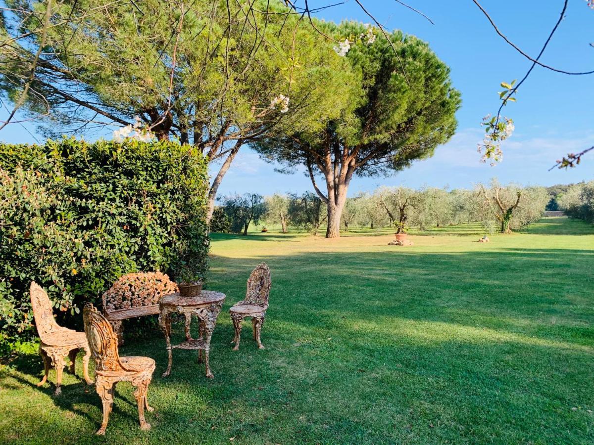 B&B Valle D'Oro Ansedónia 외부 사진