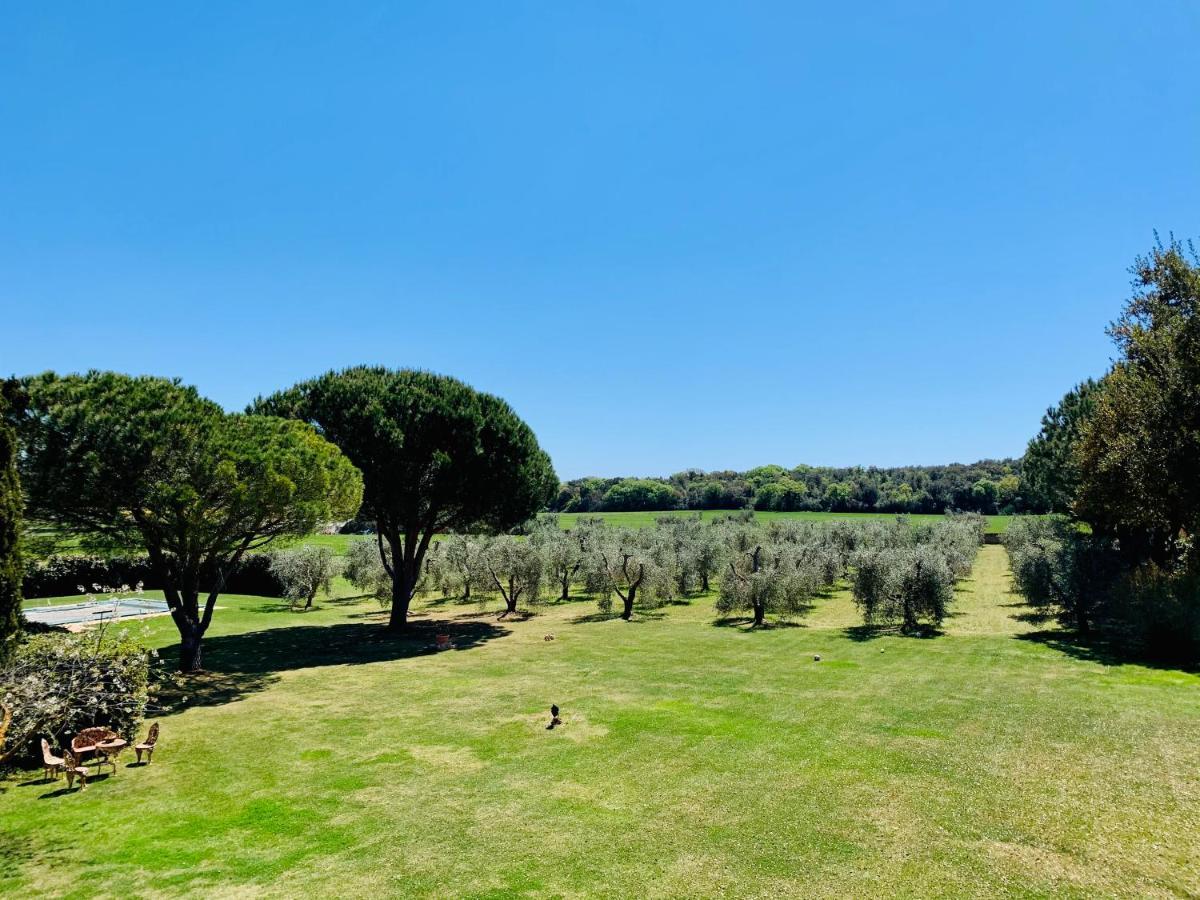 B&B Valle D'Oro Ansedónia 외부 사진