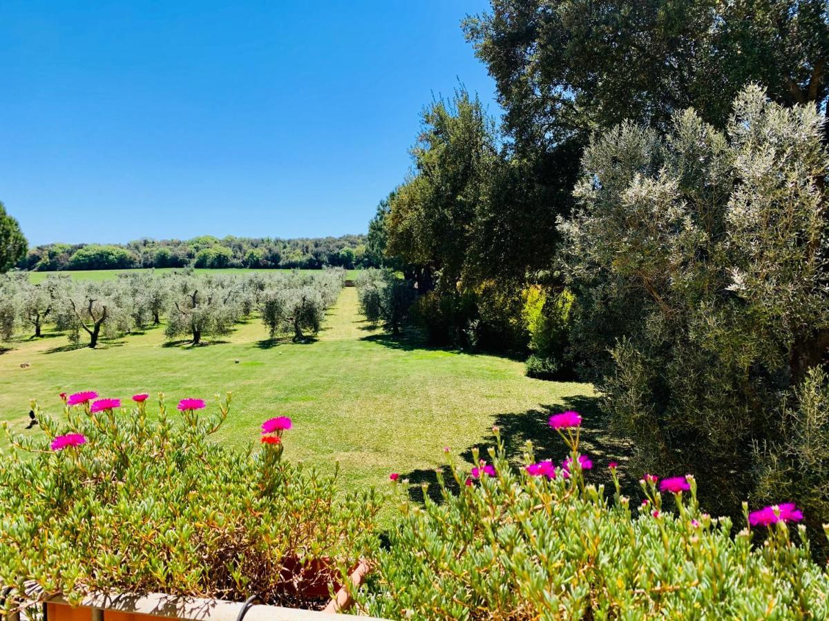 B&B Valle D'Oro Ansedónia 외부 사진