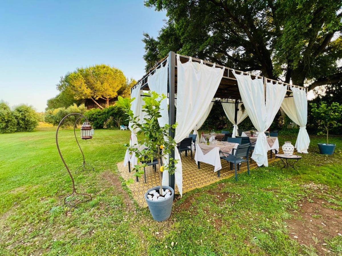 B&B Valle D'Oro Ansedónia 외부 사진