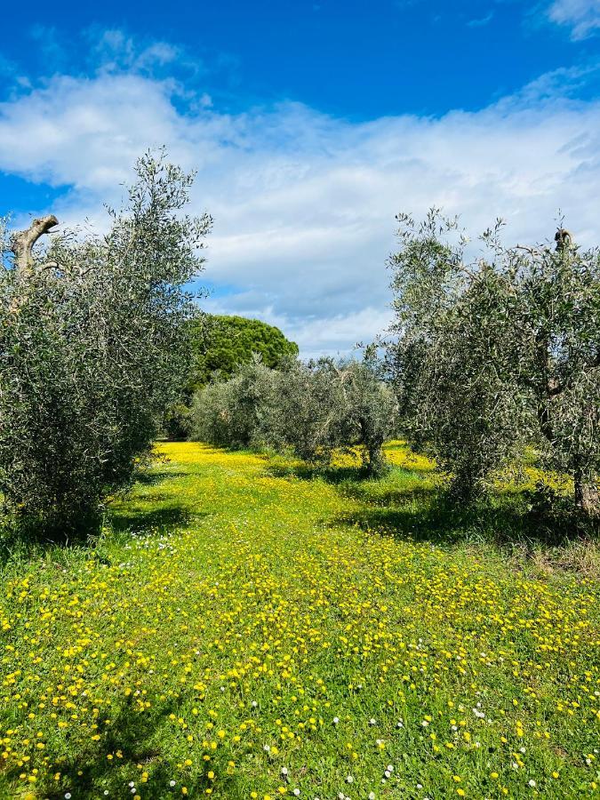 B&B Valle D'Oro Ansedónia 외부 사진