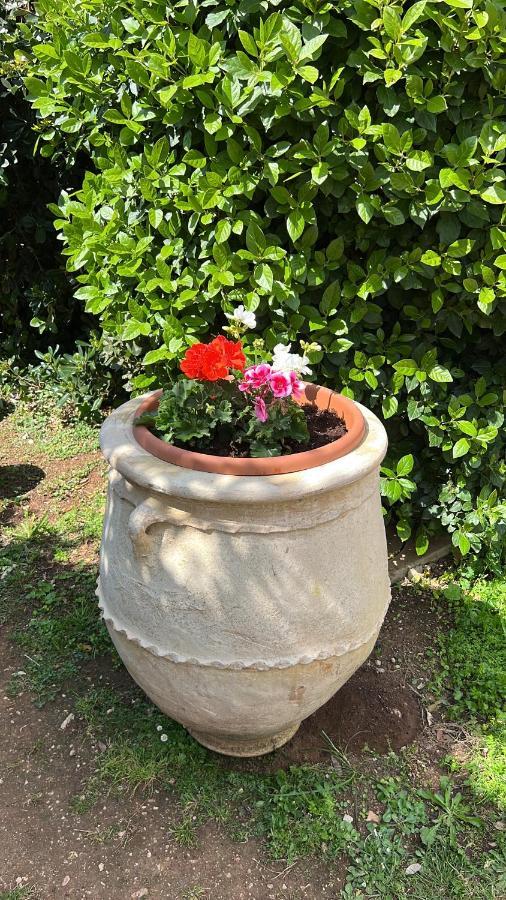 B&B Valle D'Oro Ansedónia 외부 사진