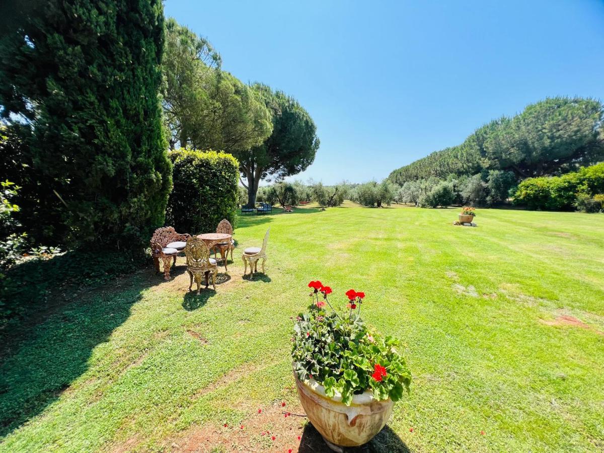 B&B Valle D'Oro Ansedónia 외부 사진